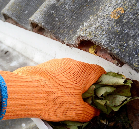 Professional Gutter Cleaning Services
